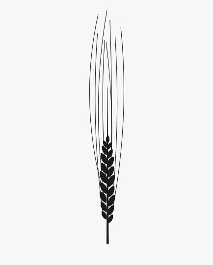 Revival Einkorn