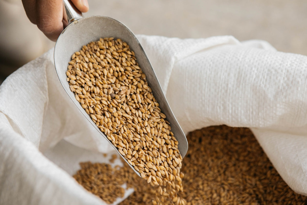 Revival Einkorn